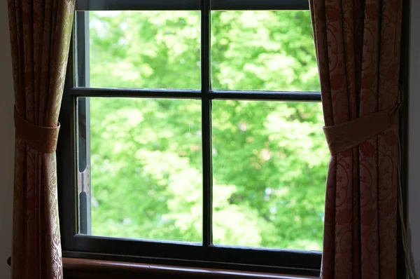 Bahçenin Yeşilliği Odanın Perdelerinden Penceresinden Görülebiliyor — Stok fotoğraf