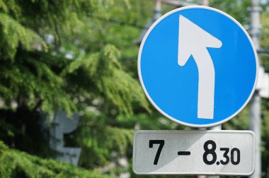 Japonya 'da sola dönüş gösteren mavi trafik işareti                               