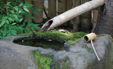  Doğal yeşilliklerle çevrili geleneksel bir Japonya bahçesinde el yıkama yeri                              