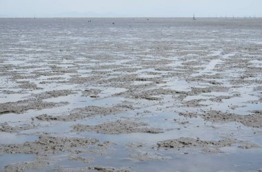 Japonya 'nın Saga bölgesindeki Ariake Denizi' nin gelgit düzlüklerinin manzarası güneşli bir günde                              