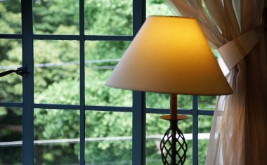 Odadaki pencereden yeşillik ve pencere pervazındaki lamba.                               