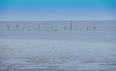 Saga bölgesindeki Ariake Denizi 'nin Japonya' daki gelgit düzlüğü.                               