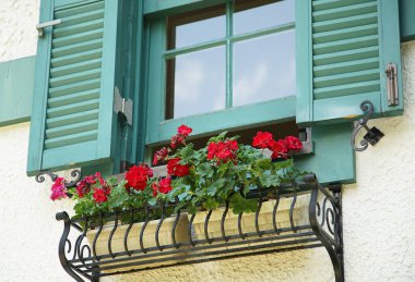 Evin pencerelerini ve duvarlarını süsleyen kırmızı çiçekler.                               