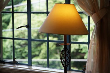  Işıklı bir odanın penceresinden yeşillik görünüyor.                              