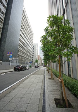 Yokohama, Japonya 'daki yüksek binalar ve ağaçlı ve otomobilli yollar.                               