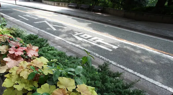 A road in Japan with the word \