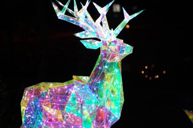 Bir ren geyiği aydınlanması Noel sezonu boyunca şehrin sokaklarını süsledi                               