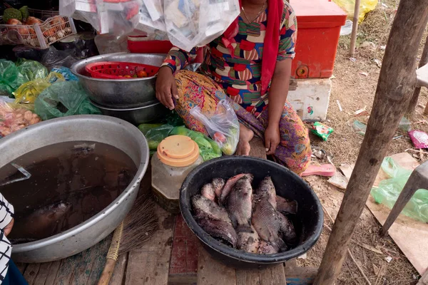 Donna Cambogiana Cucina Pesci Ricoperti Mosche — Foto Stock