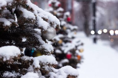 Yol kenarında renkli topları olan bir Noel ağacı duruyor.