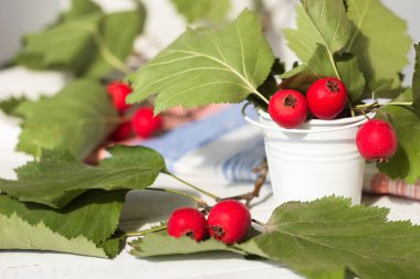 Kırmızı Crataegus böğürtlenleri (Kopenhag Hawthorn olarak da bilinir) beyaz bir kovada bulunur.