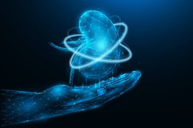 İnsan böbreği olan bir elin çokgen vektör çizimi. Böbrek iyileşmesi. Organ bağışı konsepti. Tıbbi afiş, şablon veya arkaplan.