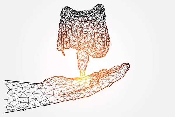 Багатокутна Векторна Ілюстрація Руки Кишечником Людини Донор Трансплантації Кишечника — стоковий вектор