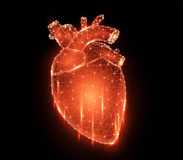 Πολυγωνική Διανυσματική Απεικόνιση Μιας Κόκκινης Καρδιάς Μαύρο Φόντο Ανθρώπινο Εσωτερικό Εικονογράφηση Αρχείου