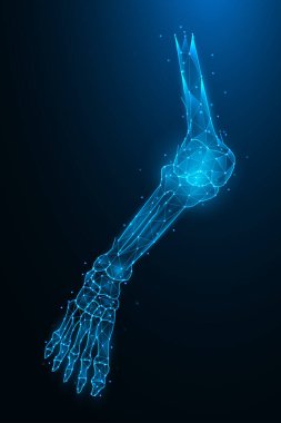 Bacak kemiklerinin çokgen vektör çizimi. Alt uzvun soyut anatomik konsepti. Diz ve bilek eklemi Polygon Sanatı.