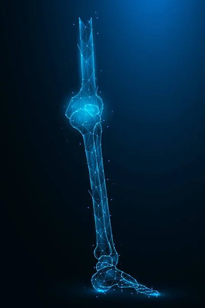 Ilustrasi Vektor Poligonal Tulang Kaki Pada Latar Belakang Biru Tua - Stok Vektor