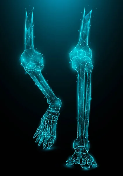 深蓝色背景下腿骨的多边形矢量图解 膝关节和踝关节多边形设计 — 图库矢量图片