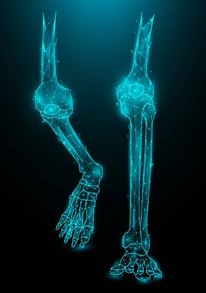 Πολυγωνική Διανυσματική Απεικόνιση Των Οστών Των Ποδιών Σκούρο Μπλε Φόντο Εικονογράφηση Αρχείου