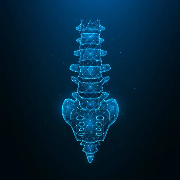 Polygonale Menselijke Wervelkolom Vector Illustratie Geïsoleerd Donkerblauwe Achtergrond Anatomische Medische — Stockvector