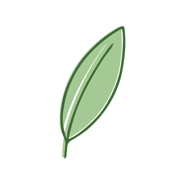 緑の葉のフラットアイコンは白の背景に隔離された ベクターイラスト — ストックベクタ