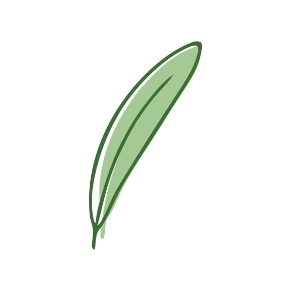 Zelený List Ploché Ikony Izolované Bílém Pozadí Vektorová Ilustrace — Stockový vektor