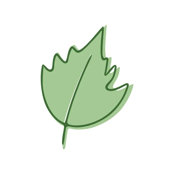 Зеленый Плоский Значок Leaf Изолирован Белом Фоне Векторная Иллюстрация — стоковый вектор
