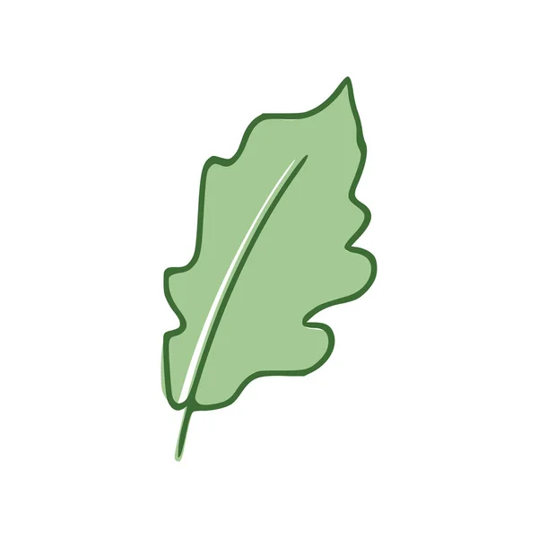 Oak Green Leaf Düz Simgesi Beyaz Arkaplanda Izole Edildi Vektör — Stok Vektör