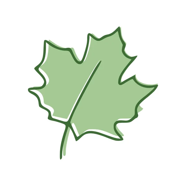 Płaska Ikona Maple Leaf Odizolowana Białym Tle Ilustracja Wektora — Wektor stockowy