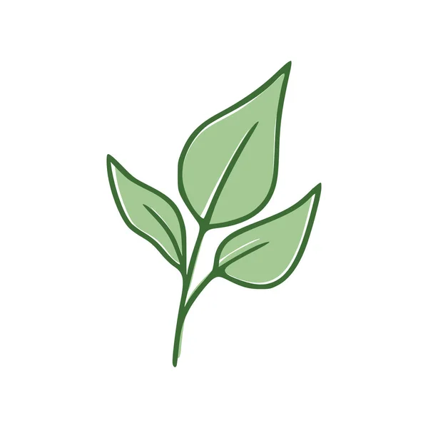 Verde Hojas Icono Plano Aislado Sobre Fondo Blanco Ilustración Vectorial — Vector de stock