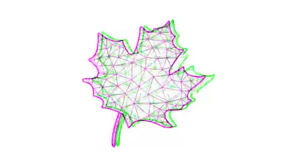 白地にグリッチ効果のあるカエデの葉 葉のシンボルモーショングラフィックス — ストック動画