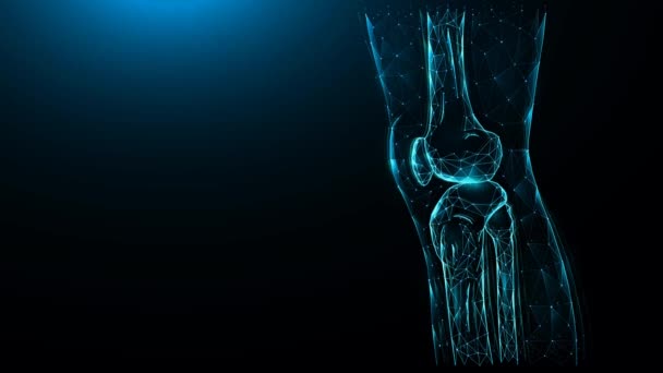 Polygonal Motion Graphics Human Knee Joint Dark Background — Stock Video