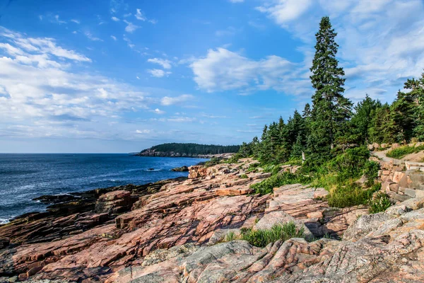 Yaz Boyunca Maine Acadia Kayalık Kıyıları - Stok İmaj