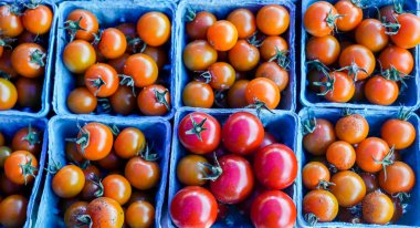 Bu sebzelerin taze, dolgun ve sulu doğasını gösteren, mavi sepetlere yerleştirilmiş canlı kırmızı ve turuncu domateslerin yakın plan çekimi.