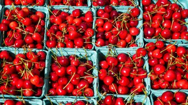 Çiftçi pazarında yeşil kağıt kaplarda taze toplanmış kırmızı kirazlar.