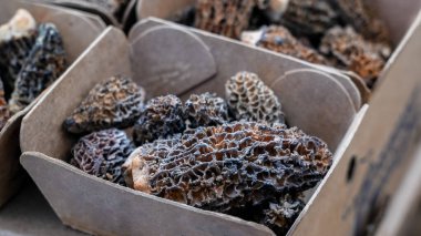 Taze hasat edilmiş mantar mantarları donuk bir sonbahar gününde bir çiftçi pazarında geri dönüşümlü bir kutuda sergilenir..