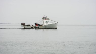 4 Mart 2025 'te Calf Pasture Sahili yakınlarındaki sakin sularda bir istiridye teknesi görüldü. Bulutlu gökyüzü huzurlu bir atmosfer yaratır.