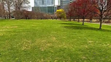 STAMFORD, CT, ABD - 10 Nisan 2025: Parlak bahar günü, Mill River Yolu yakınlarındaki parktan çiçek açan ağaçlar ve Tromp Parc 'ın solunda yer aldığı modern binaların arka planına sahip bir parka sahiptir.