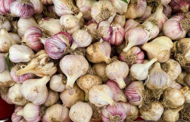Pazar ortamında taze toplanmış sarımsak soğanları, canlı renklerini ve dokularını öğleden sonra güneş ışığı altında sergiliyor, müşterileri ve aşçıları davet ediyor.