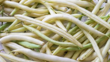 Canlı bir taze toplanmış sarı ve yeşil fasulye koleksiyonu temiz bir yüzeyde sergilenerek doğal renklerini sergiliyor. Çeşitli aşçılık yemekleri için mükemmel..