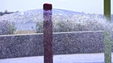 Su canlı yapılardan fışkırıyor, kahkahalar ve oyunlar arasında neşeli anlar yaratıyor..