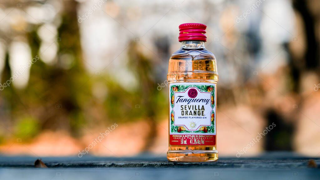 NORWALK, CT, USA - NOVEMBER 30 , 2023: Sevilla Orange from Tanqueray brand outside on wooden table