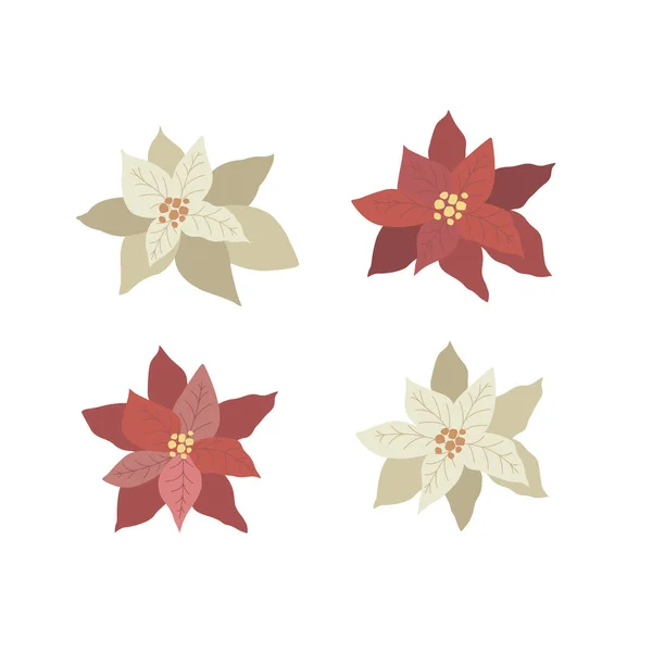 Set Com Branco Vermelho Poinsettia Ilustração Vetorial —  Vetores de Stock