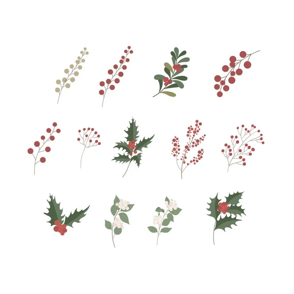 Σετ Χειμερινά Πράσινα Φυτά Και Μούρα Εικονογράφηση Διανύσματος Εικονογράφηση Διανύσματος — Διανυσματικό Αρχείο