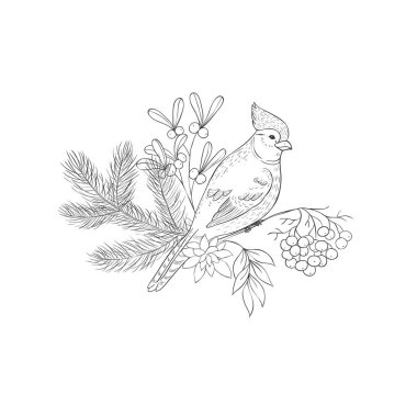 Kış Buketi 'ndeki Kardinal Bird. Noel süslemesi. Vektör.