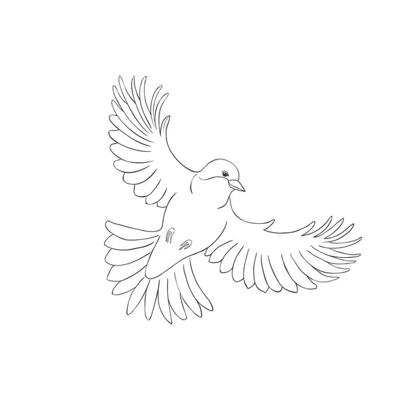 Flying Titmouse Bird White Background Inglés Ilustración Vectorial — Archivo Imágenes Vectoriales