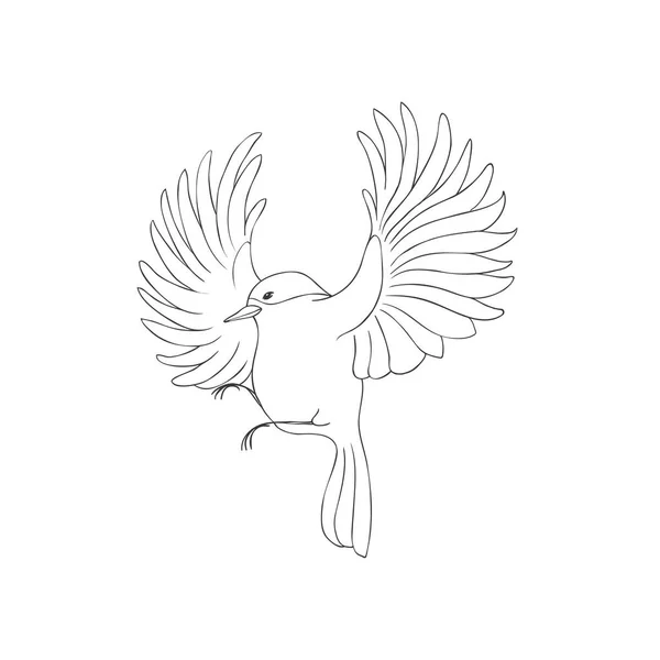 白い背景に空飛ぶタイマウスの鳥 ベクターイラスト — ストックベクタ