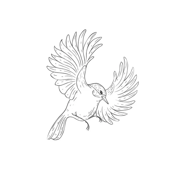 Flying Titmouse Bird White Background Inglés Ilustración Vectorial — Vector de stock