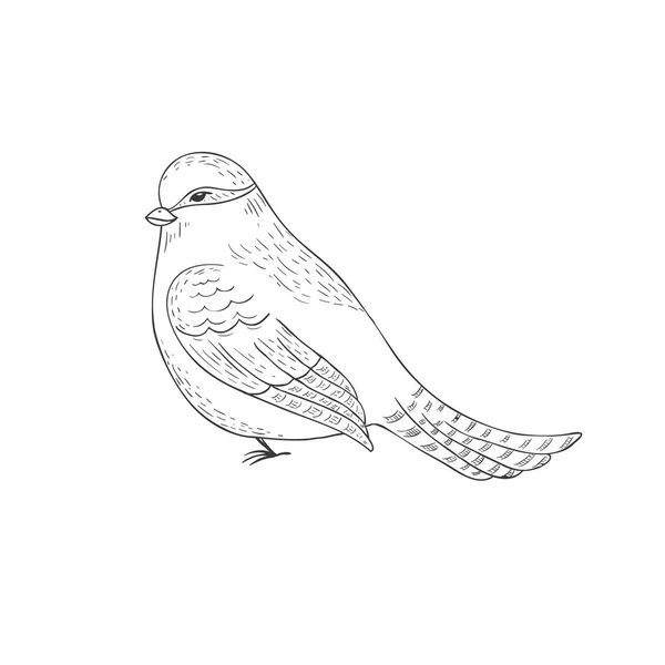 Titmouse Bird Bílém Pozadí Vektorová Ilustrace — Stockový vektor