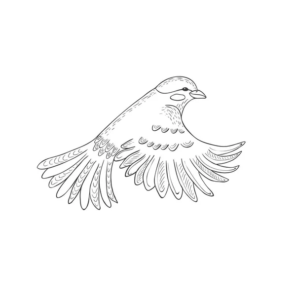 Flyger Titmouse Fågel Den Vita Bakgrunden Vektor Illustration — Stock vektor