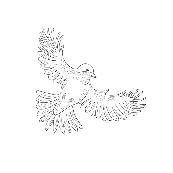 Flying Titmouse Bird White Background Illustration Vectorielle — Image vectorielle
