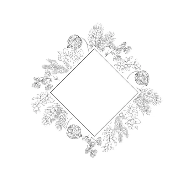 Χριστουγεννιάτικο Πλαίσιο Χειμερινά Φυτά Εικονογράφηση Διανύσματος — Διανυσματικό Αρχείο